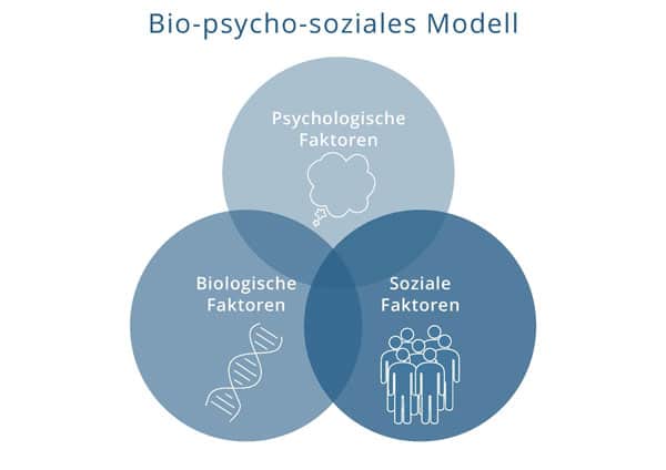 Bio-psycho-soziales Modell, psychische Erkrankung
